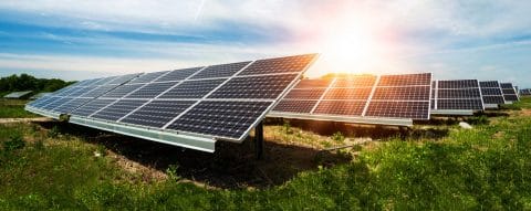 solar panals in the sun surrounded by green grass