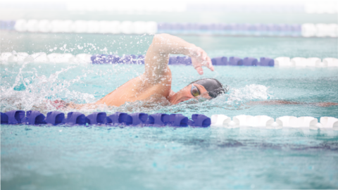 adult male swimming in a pool lane