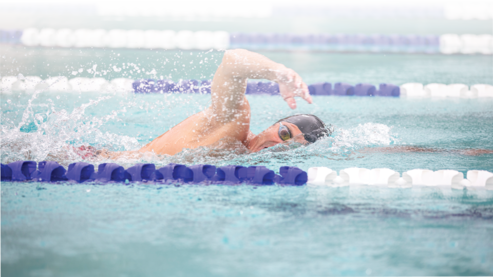 adult male swimming in a pool lane
