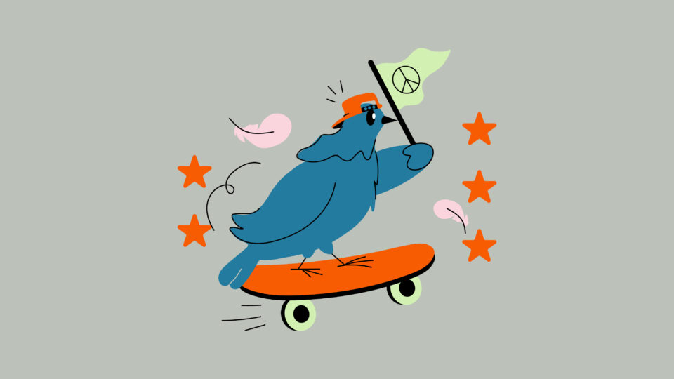 Board Kids, kids skateboarding, bird skateboarding