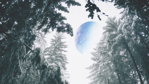 snowy trees with a blue moon in the background