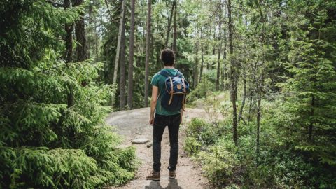 man standing in the forest with a backpack on