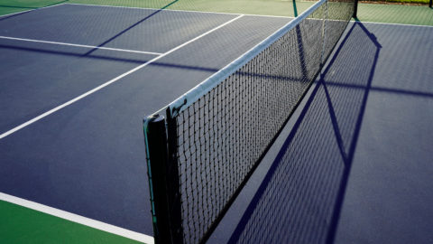 pickleball court net