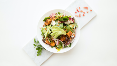plant based meal
