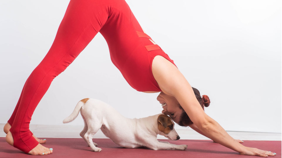 Woman in yoga pose with dog on mat