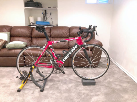 outdoor bike set up indoors in front of a brown couch, on grey carpet