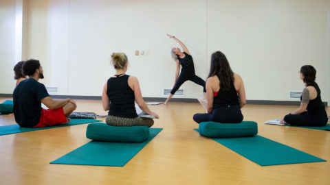 Yoga students looking toward instructor