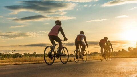 cyclists on road