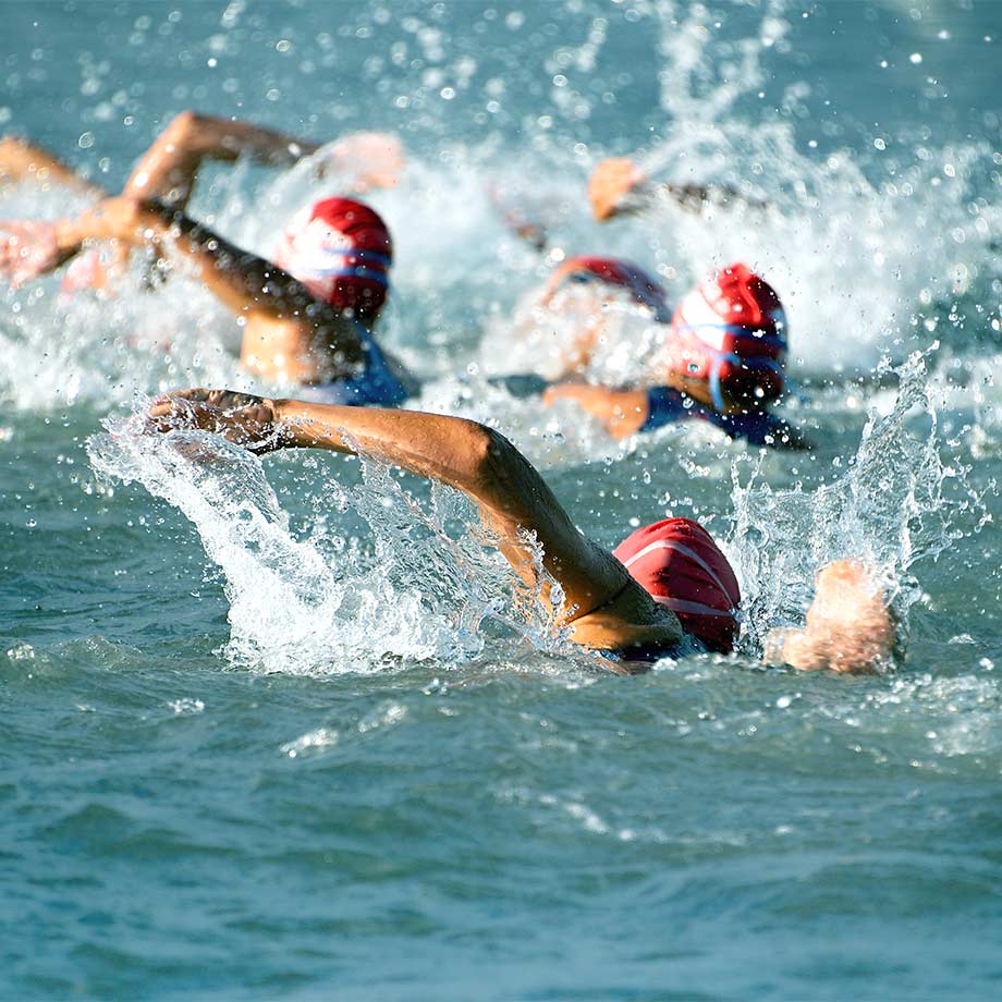 people swimming in a triathlon
